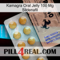 Kamagra Oral Jelly 100Mg Sildenafil 41